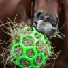 Waldhausen Hay Ball