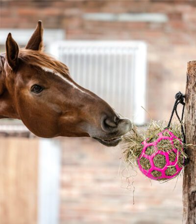 Waldhausen Hay Ball - Image 5