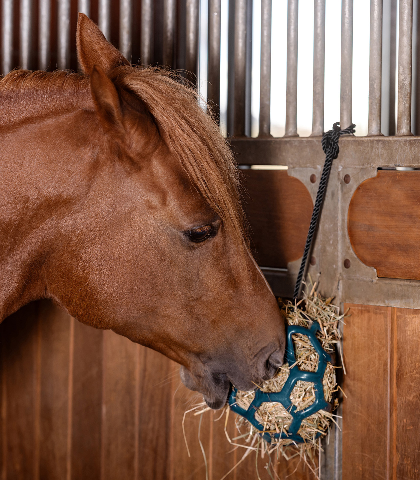 Waldhausen Hay Ball - Billede 8