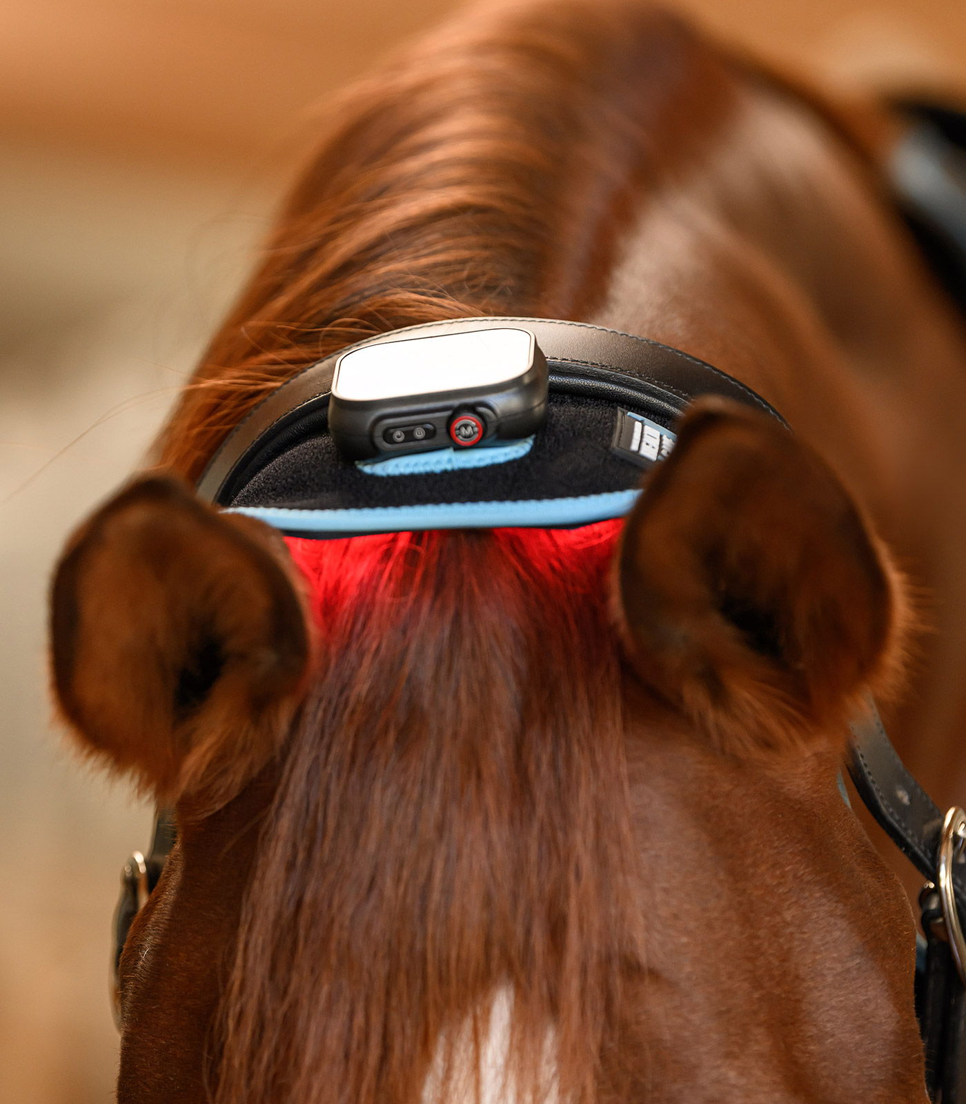 Waldhausen Health + Care Infrared FlexPad - Billede 3