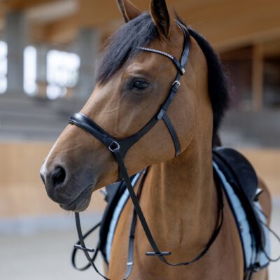 Horse Guard Bidløs trense