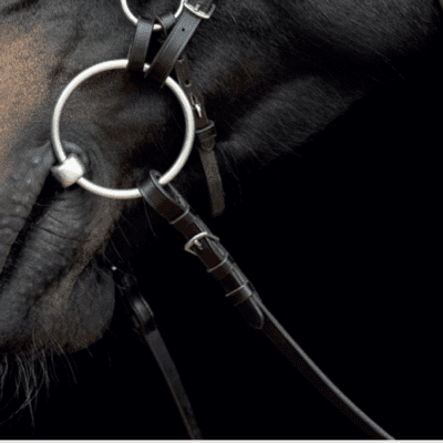 Gentle Bridle