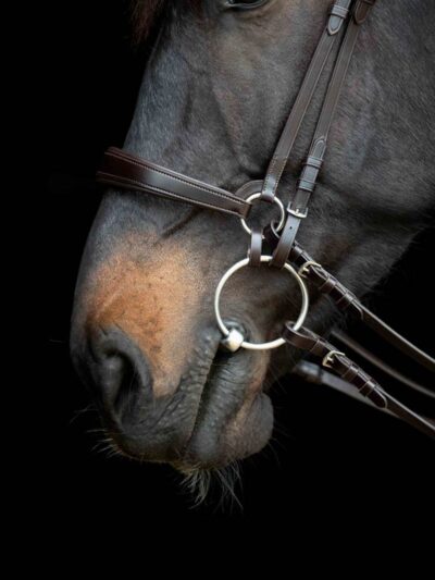 CATAGO Gentle Bridle halvt næsebånd - 10 % rabat -