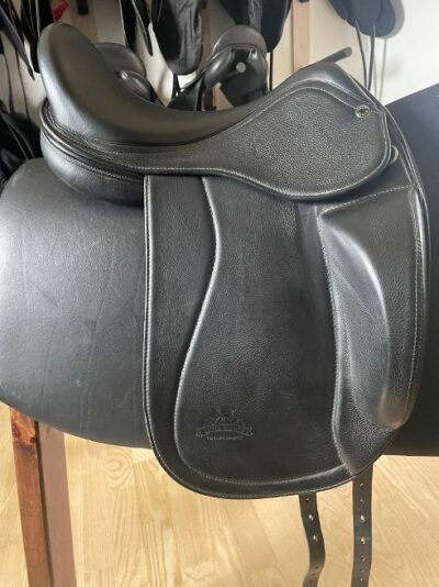 Tøltrider Bjartur 17"