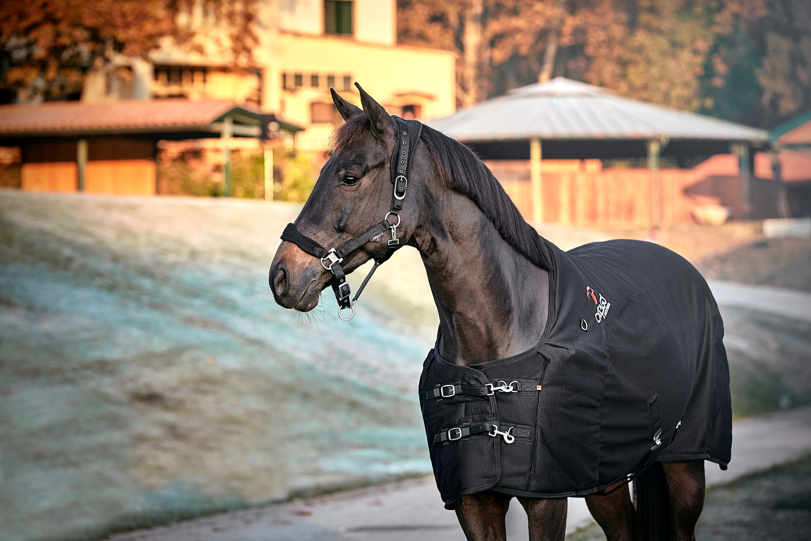 Catago Fir-Tech grime - Billede 6