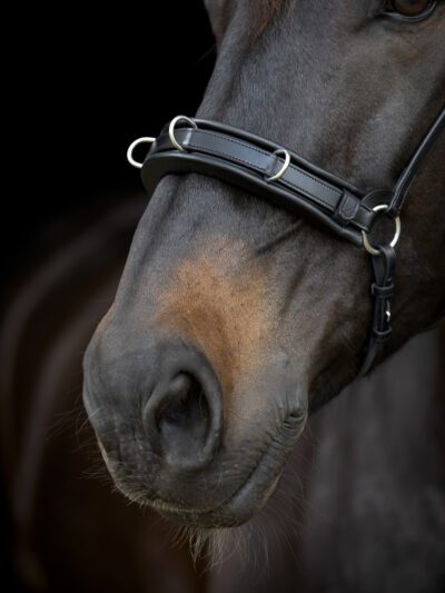 Catago Gentle Bridle Kapsun næsebånd - Image 2