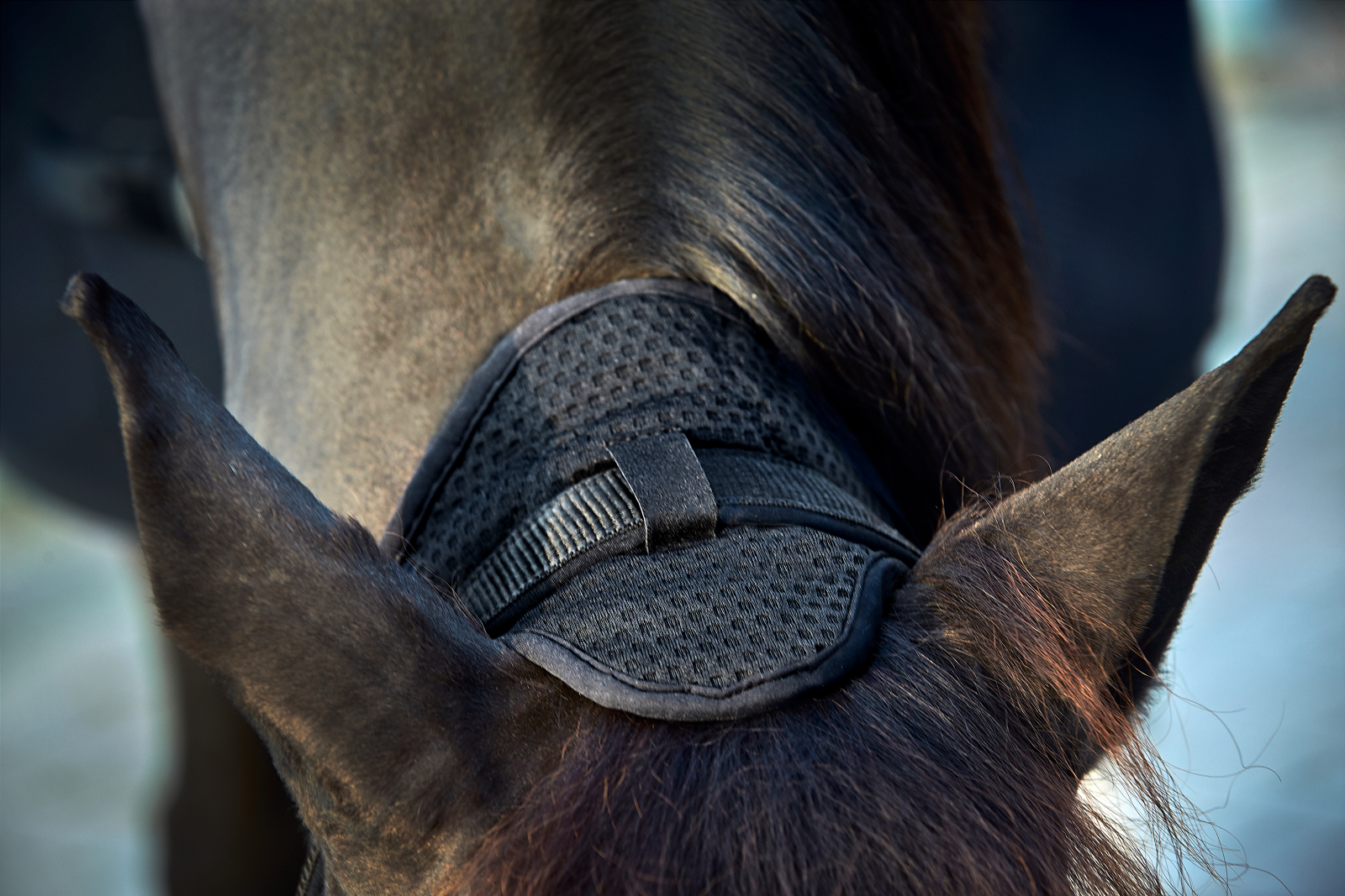 Catago Fir-Tech grime - Billede 3