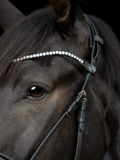 CATAGO Gentle Bridle pandebånd