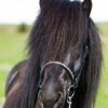 Eques StepbyStep - løst pandebånd med wave og gyldne krystaller - Image 2