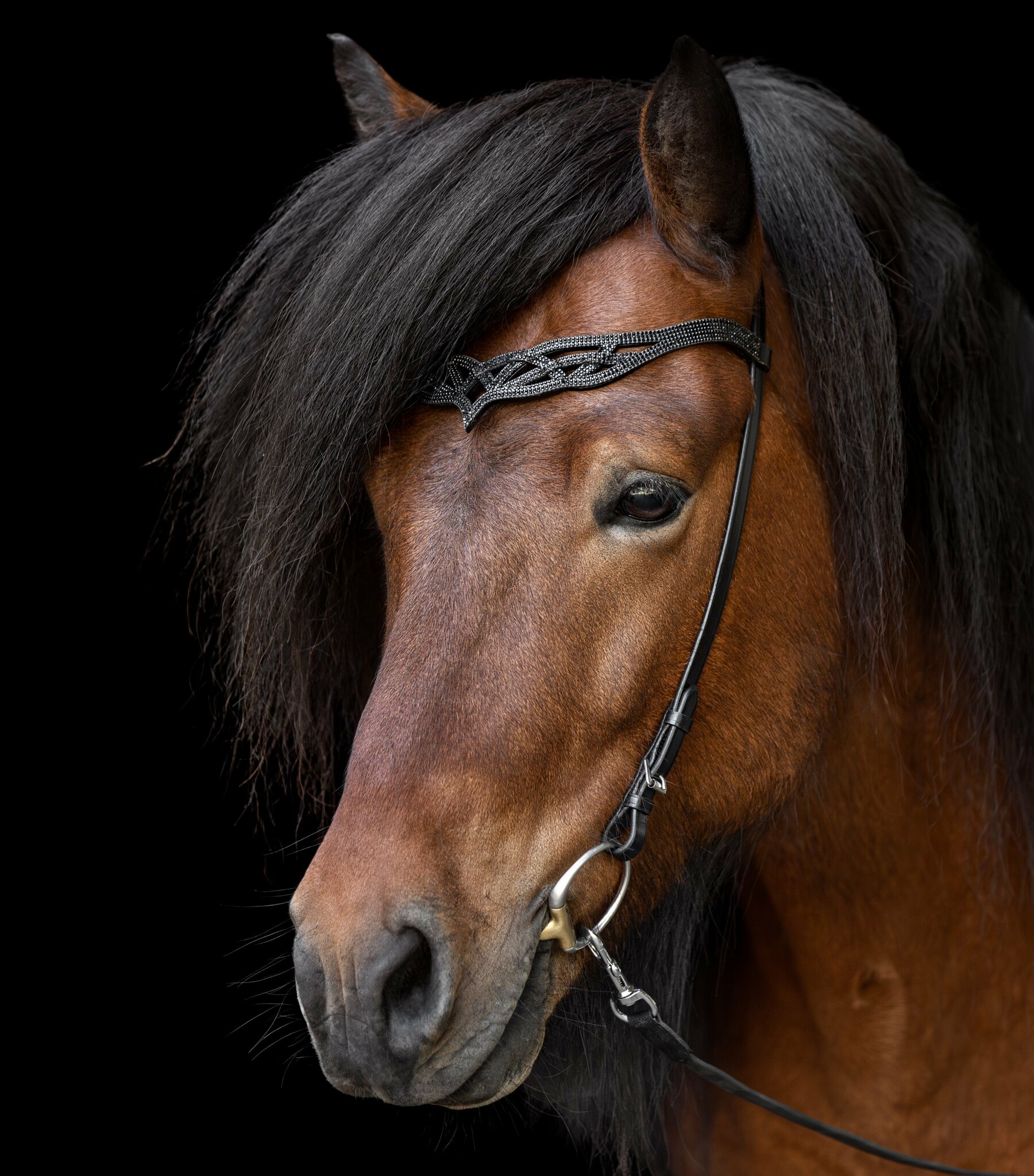 Hrimnir nakkerem Heritage B - Lava