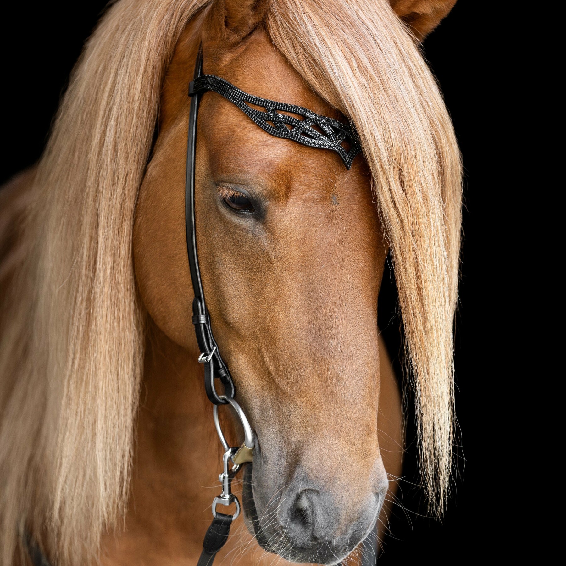 Hrimnir nakkerem Heritage B - Lava - Billede 3