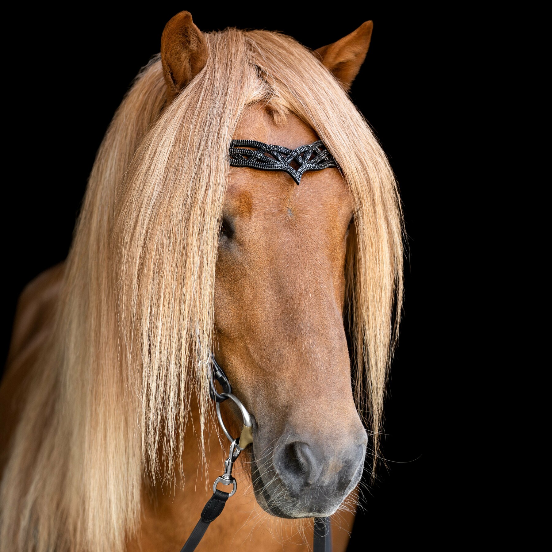 Hrimnir nakkerem Heritage B - Lava - Billede 2