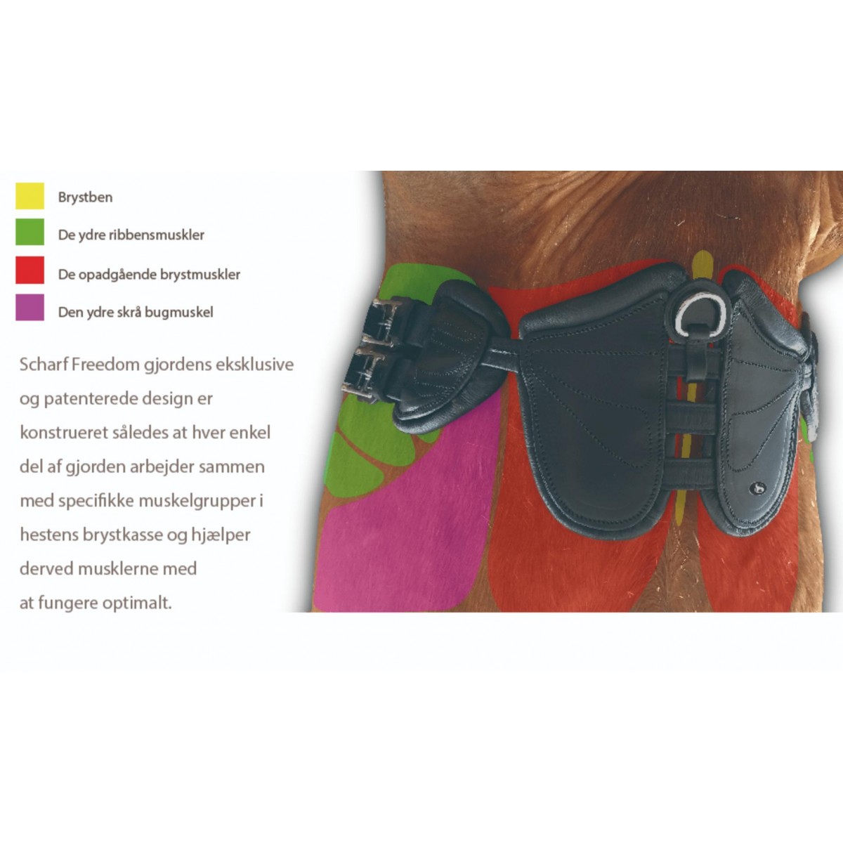 Scharf Freedom Gjord