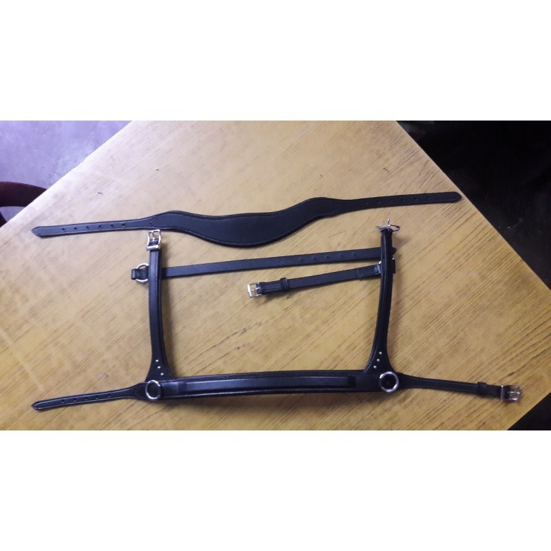 Sidepull Nordic Horse