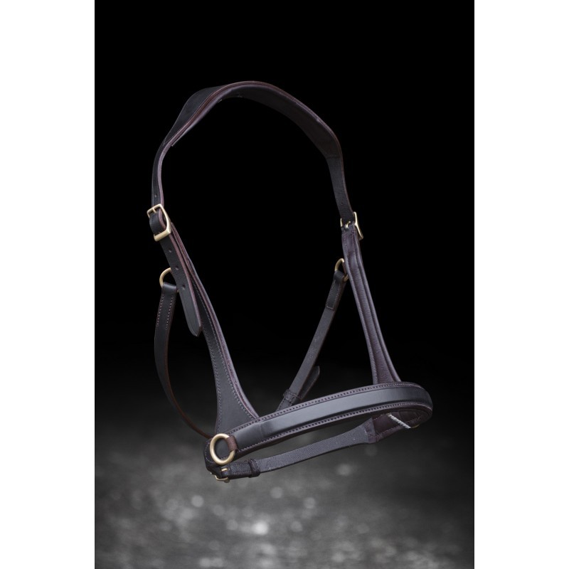 Sidepull Nordic Horse