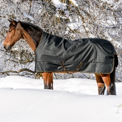 Bucas Turnout 50 gram - Udedækkener Dækkener - Udstyr til den islandske hest Draumur