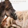 Bog Horses of Iceland