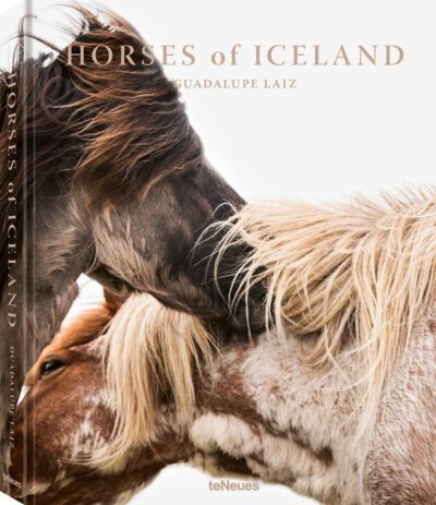 Bog Horses of Iceland