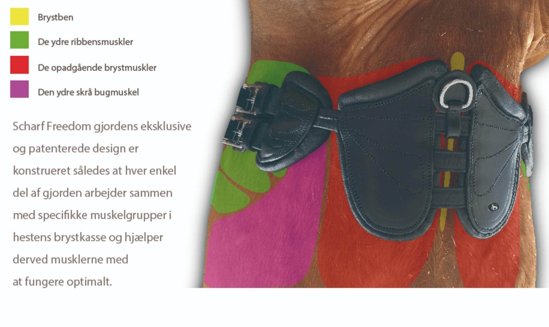 Scharf Freedom gjord Icelandic