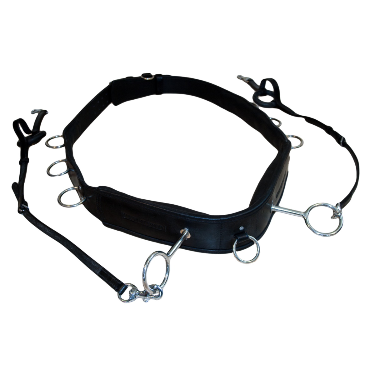 Luksus longeringssæt Karlslund