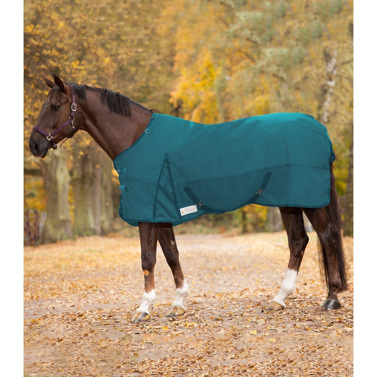 Regndækken, 100 g, økonomi, ELT