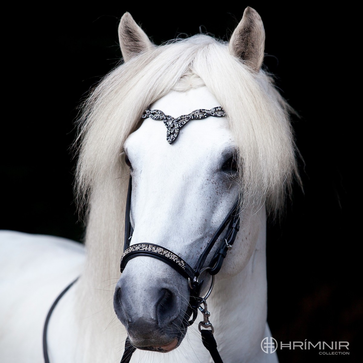 Hrímnir hannoveransk næsebånd "Fire & Ice"