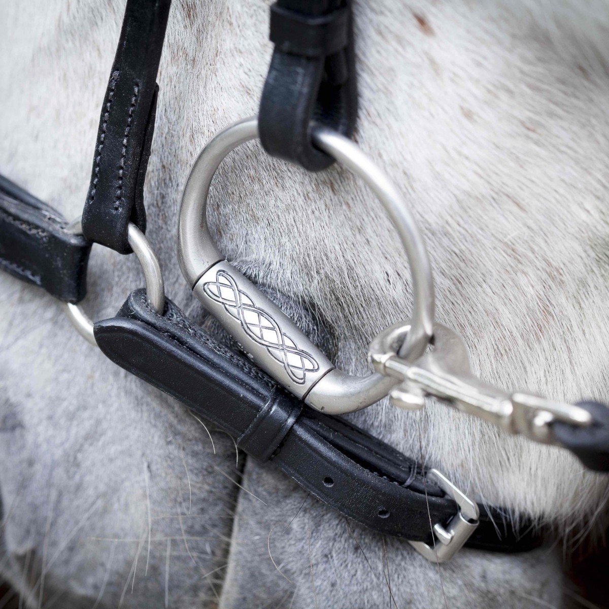 Hrímnir hannoveransk næsebånd "Fire & Ice"