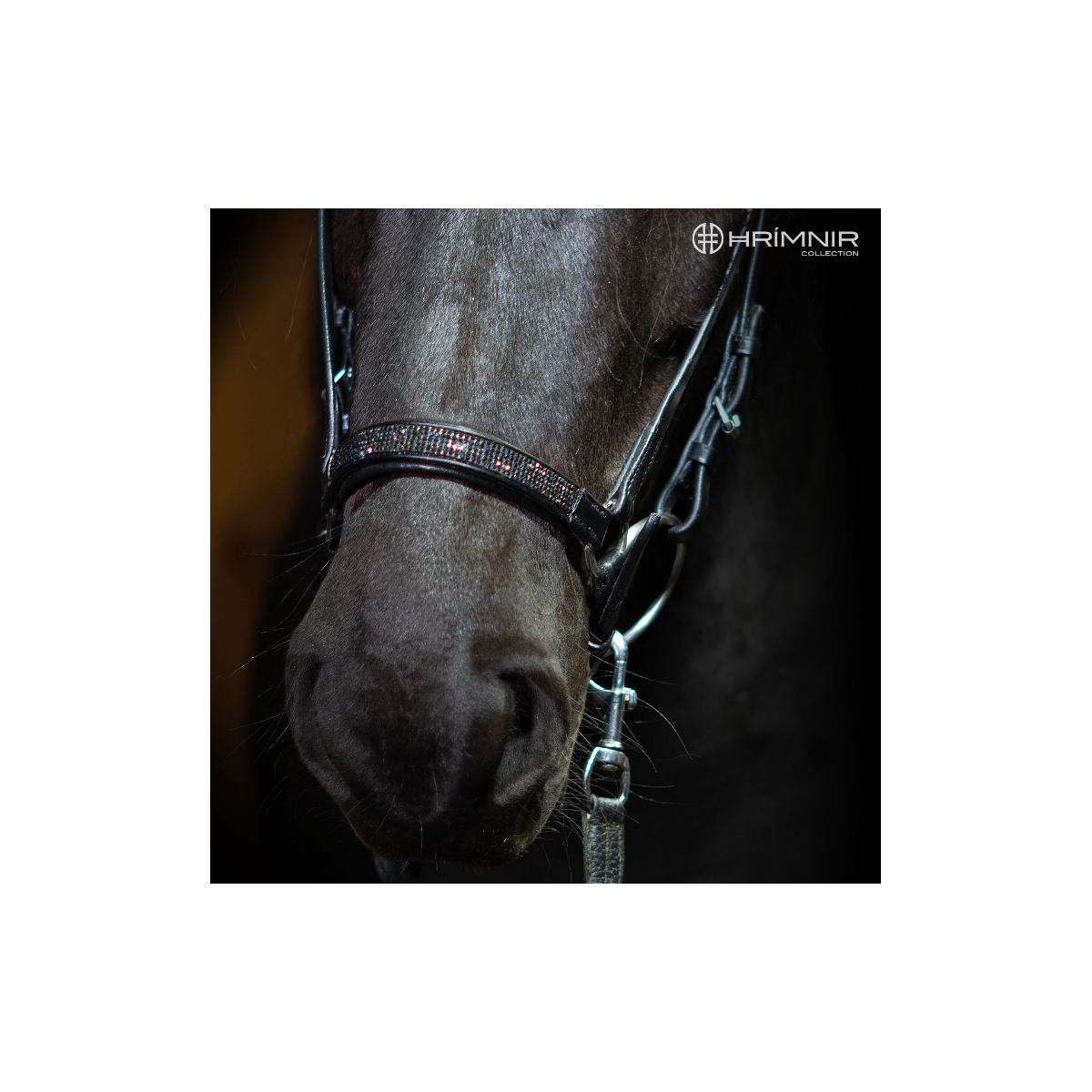 Hrimnir hannoveransk næsebånd "Lava"